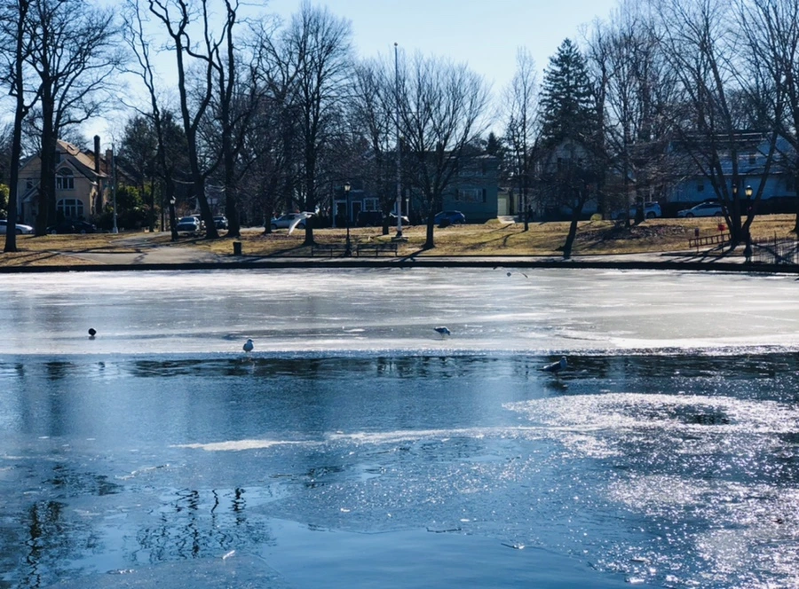 IMG_7842.jpg?type=w966