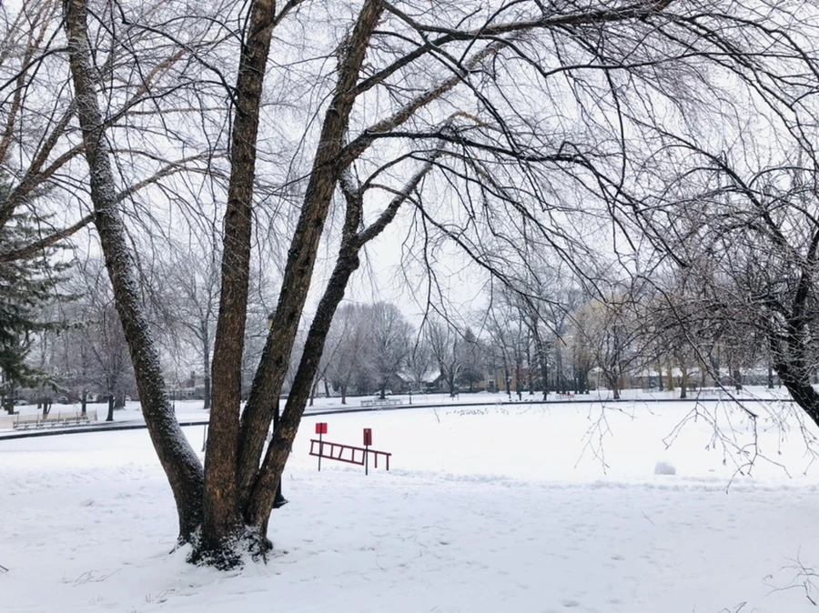 IMG_4256.jpg?type=w966