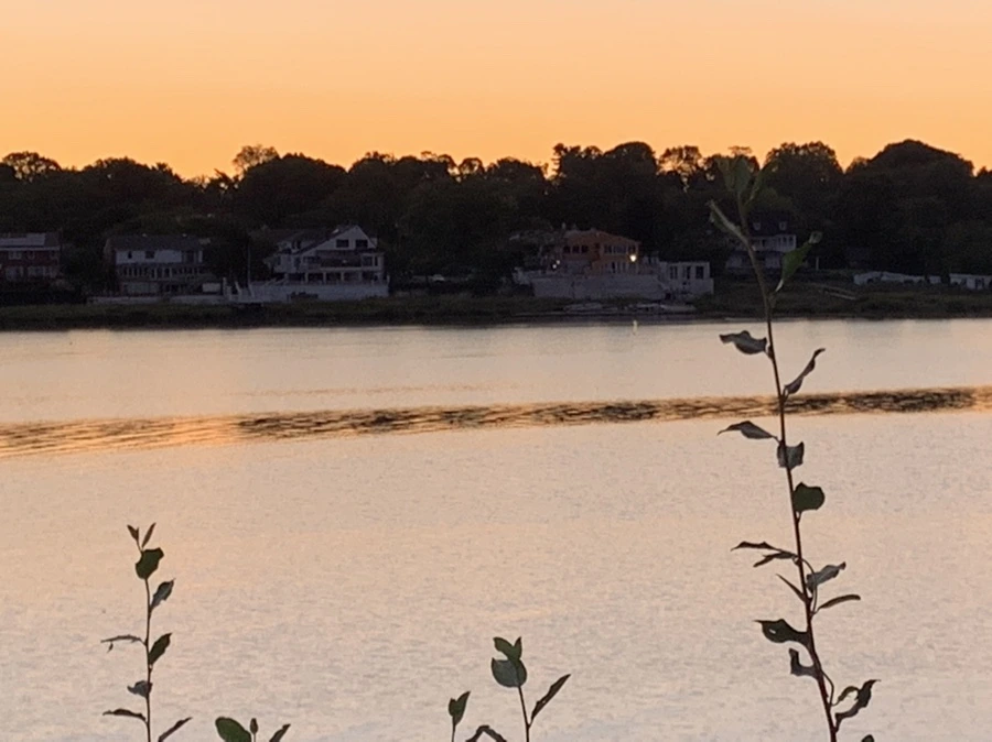 IMG_7488.jpg?type=w966