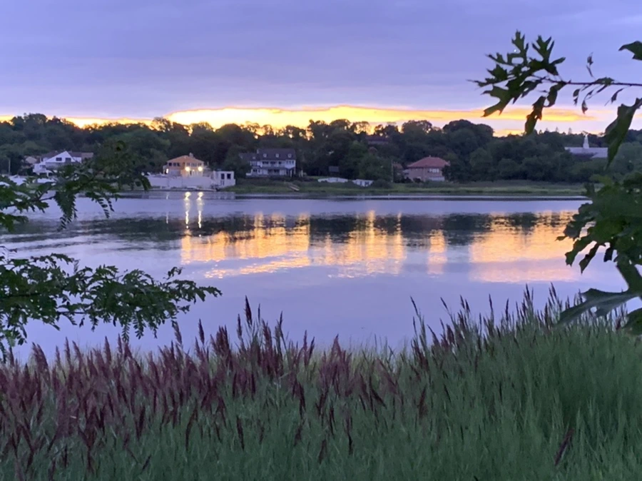 IMG_2281.jpg?type=w966