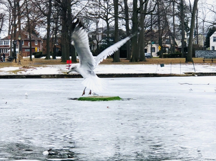 IMG_5854.jpg?type=w966