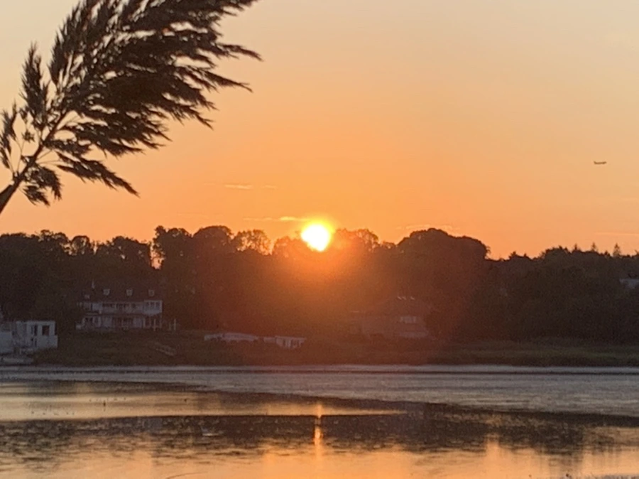 IMG_8877.jpg?type=w966