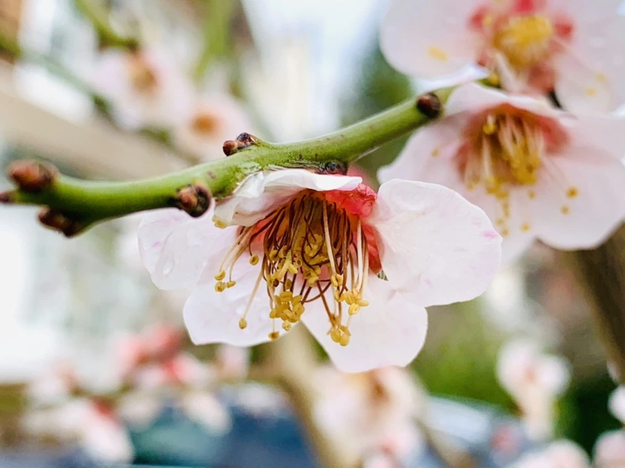 IMG_3905.jpg?type=w966