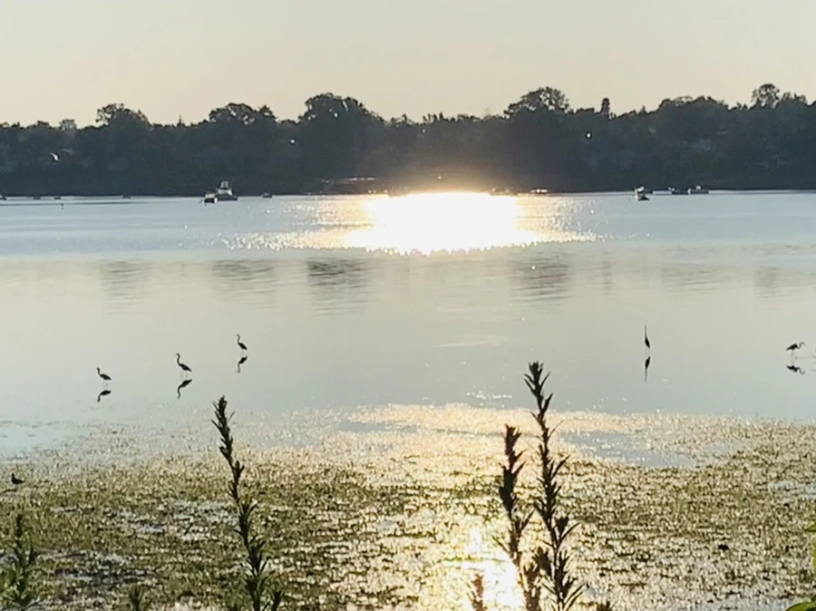 IMG_0450.jpg?type=w966