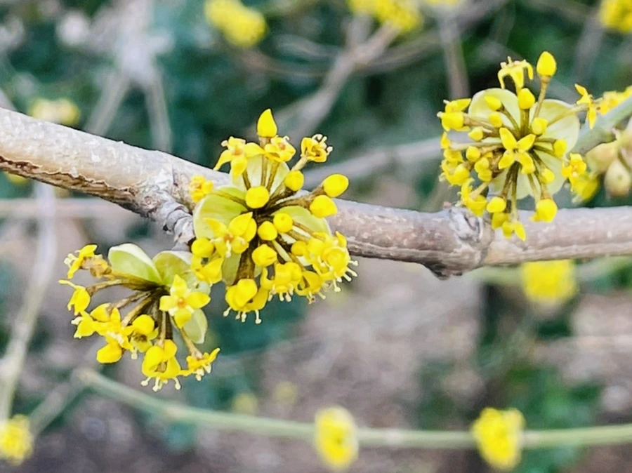 IMG_5379.jpg?type=w966