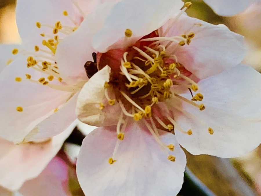 IMG_2768.jpg?type=w966