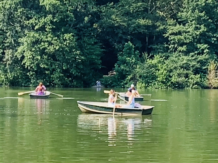 IMG_2188.jpg?type=w966