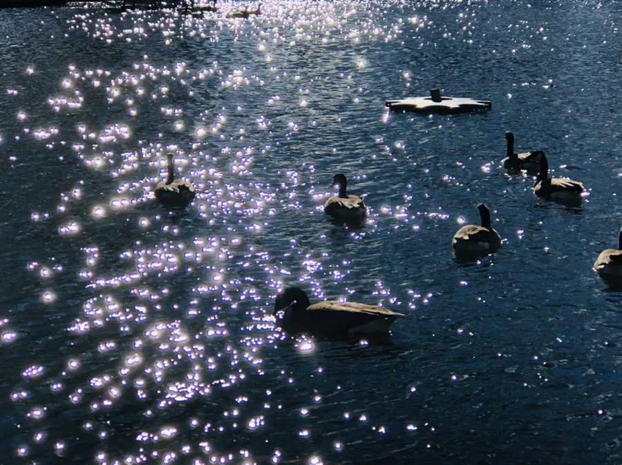 IMG_9188.jpg?type=w966