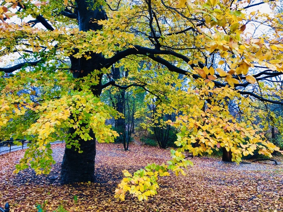 IMG_5713.jpg?type=w966