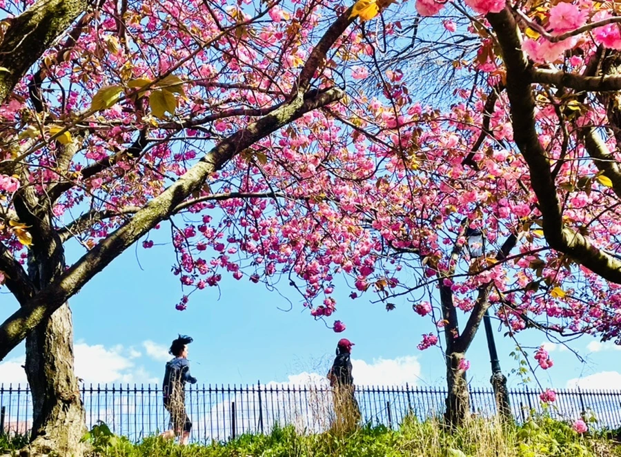 IMG_2747.jpg?type=w966