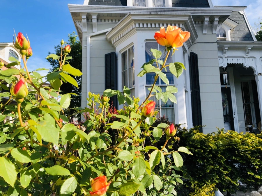 IMG_7317.jpg?type=w966