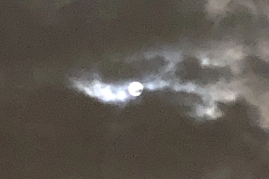 IMG_3269.jpg?type=w966