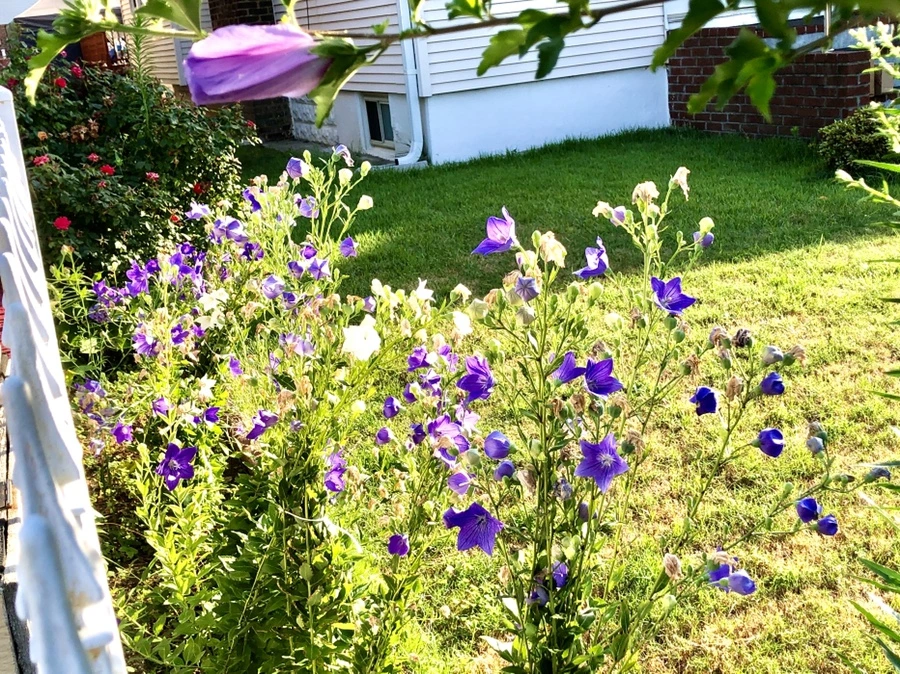 IMG_3601.jpg?type=w966