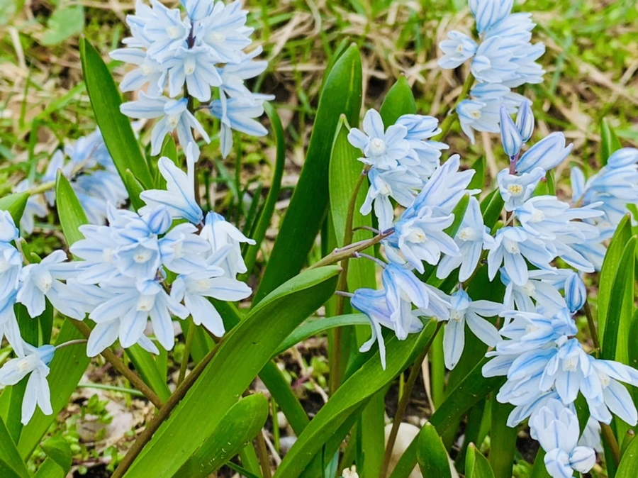 IMG_6722.jpg?type=w966