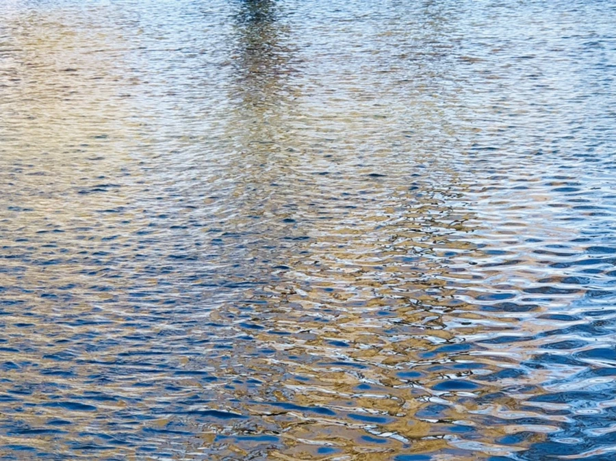 IMG_3813.jpg?type=w966