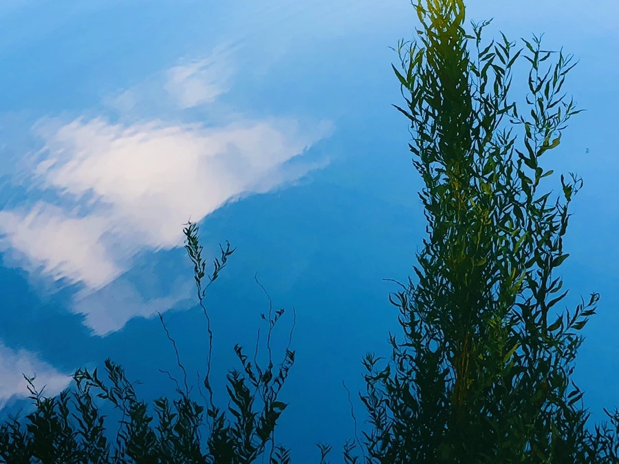 IMG_2877.jpg?type=w966