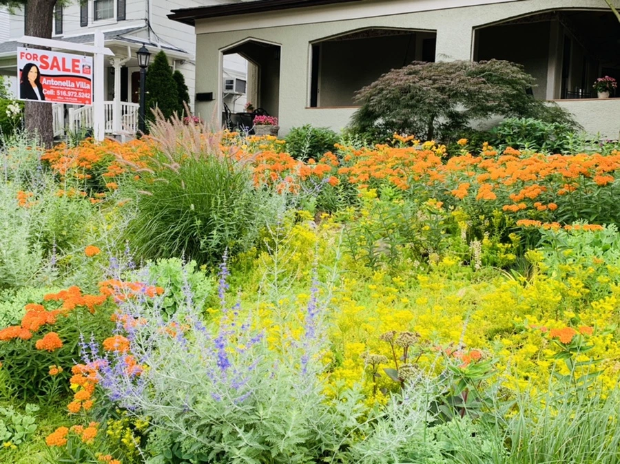 IMG_7216.jpg?type=w966