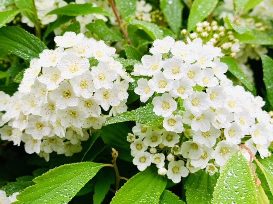 X2wBJilRy4bn2IW_P2-YTsBQep4