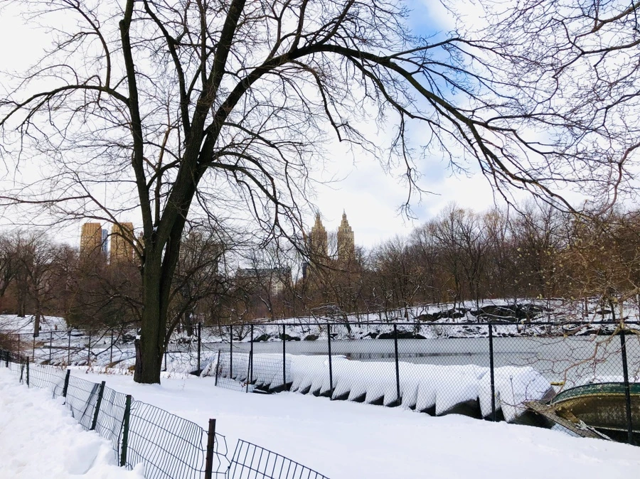 IMG_7346.jpg?type=w966