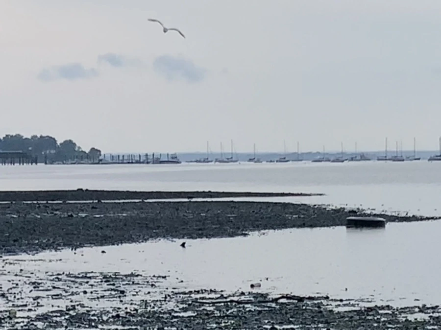 IMG_8110.jpg?type=w966