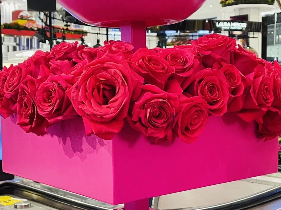 IMG_7616.jpg?type=w966