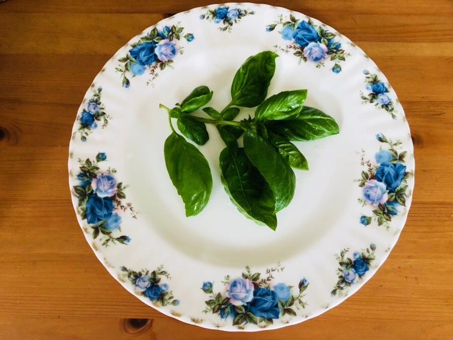 IMG_4215.jpg?type=w966