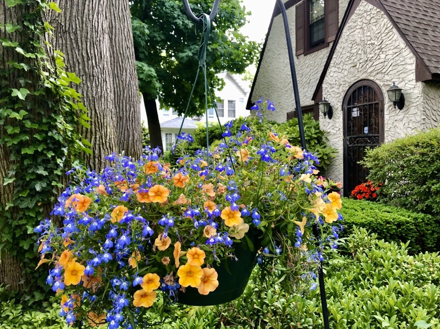 IMG_8905.jpg?type=w966