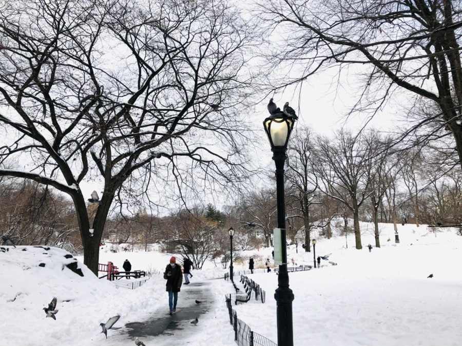 IMG_9116.jpg?type=w966