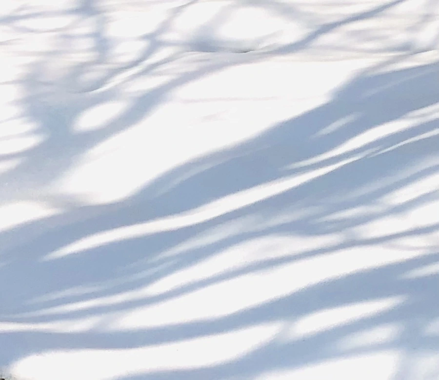 IMG_7758.jpg?type=w966