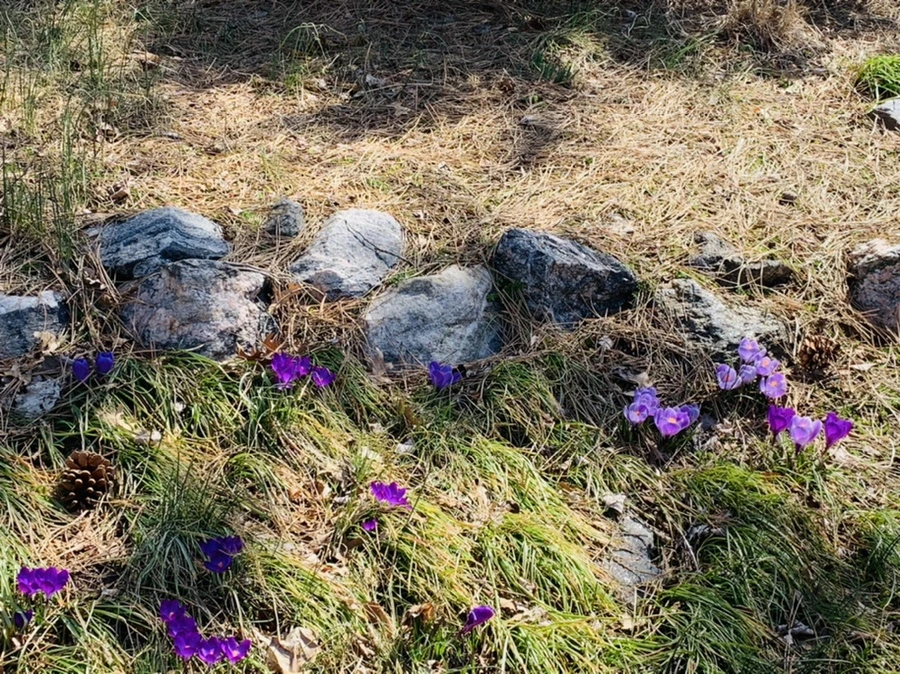 IMG_2979.jpg?type=w966