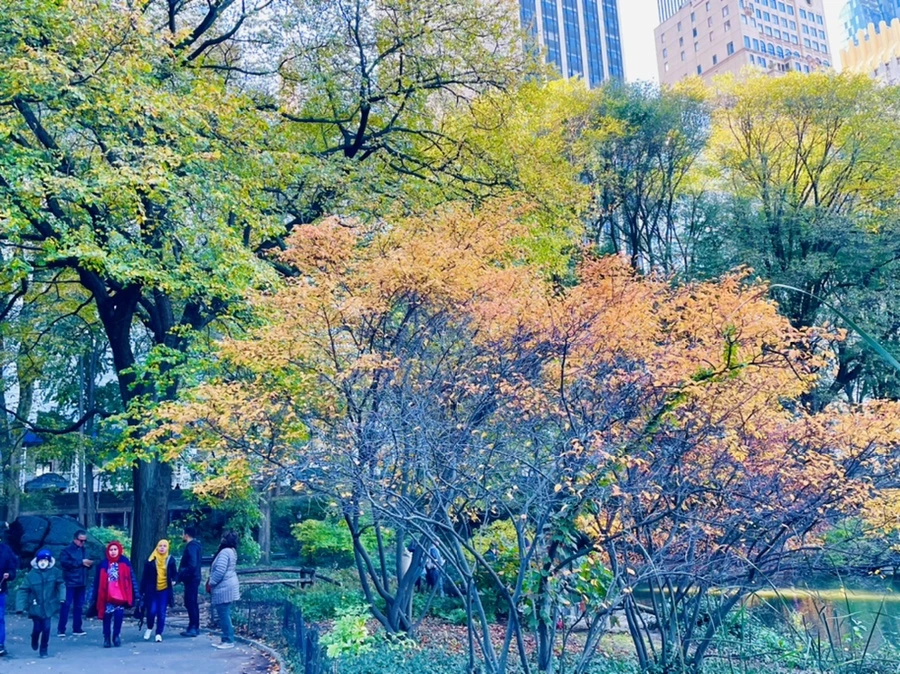 IMG_0680.jpg?type=w966