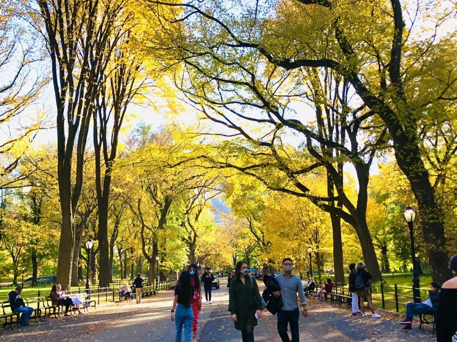 IMG_3486.jpg?type=w966