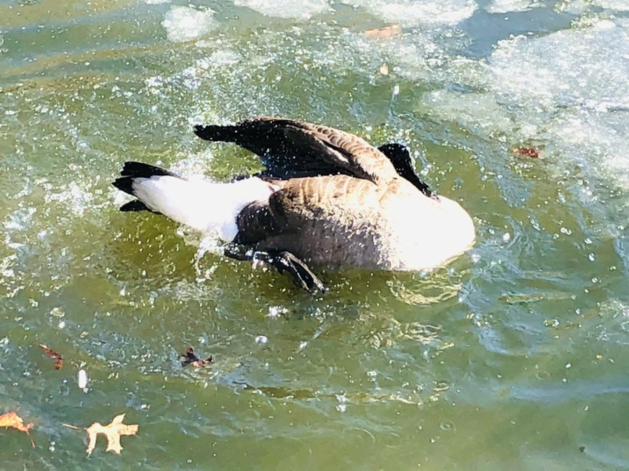 IMG_5122.jpg?type=w966