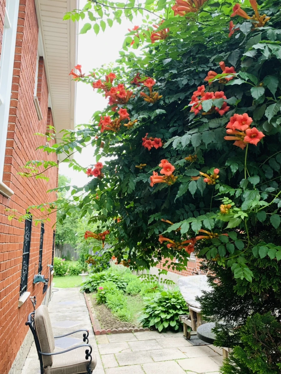 IMG_7110.jpg?type=w966