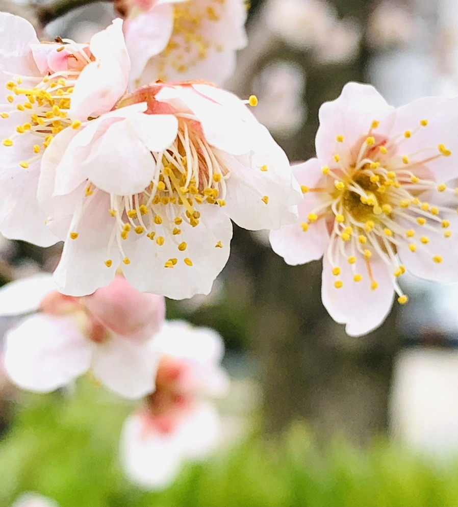 IMG_1687.jpg?type=w966