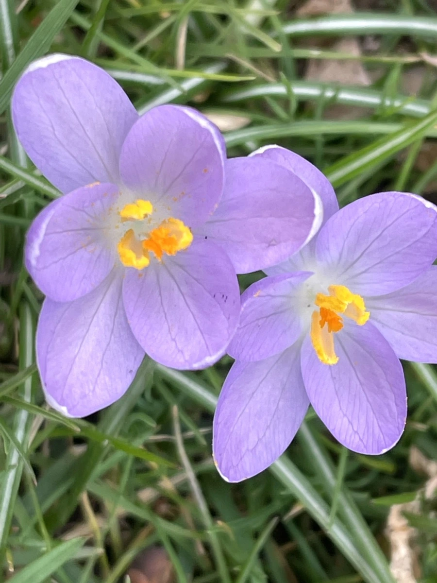 IMG_4064.jpg?type=w966