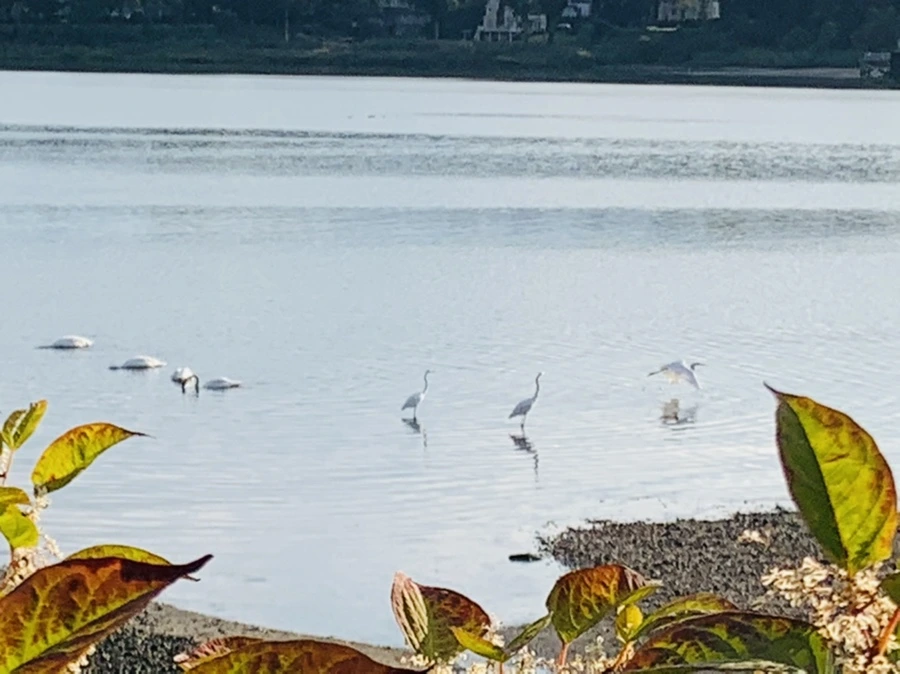 IMG_7806.jpg?type=w966