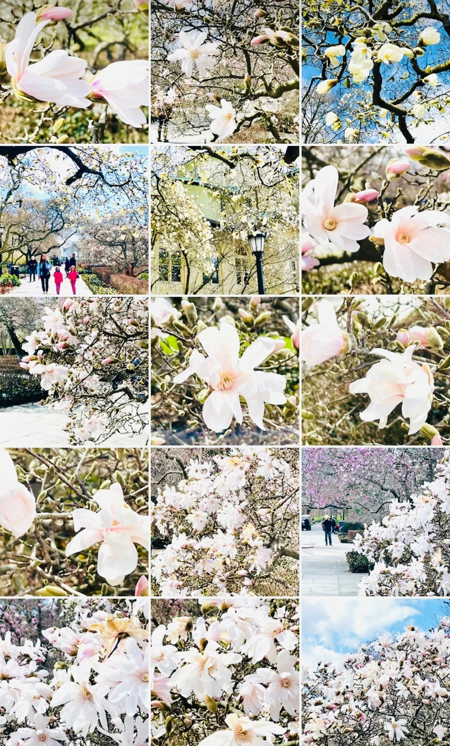 IMG_7301.jpg?type=w966