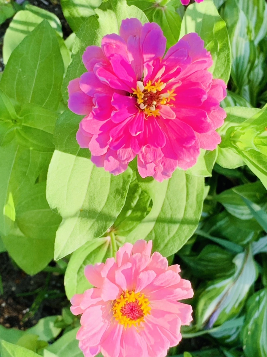 IMG_8723.jpg?type=w966