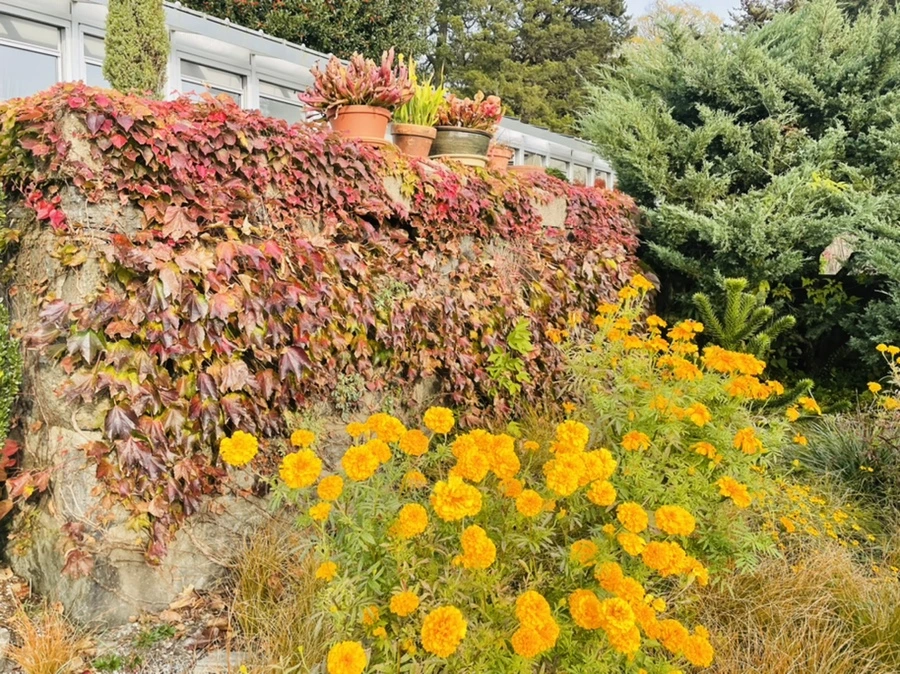 IMG_2401.jpg?type=w966