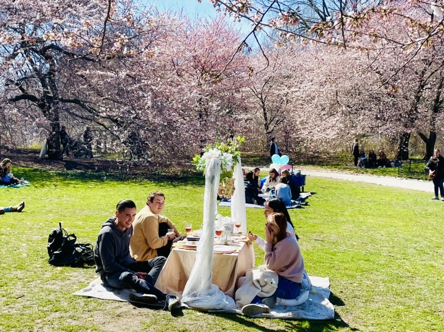 IMG_8410.jpg?type=w966