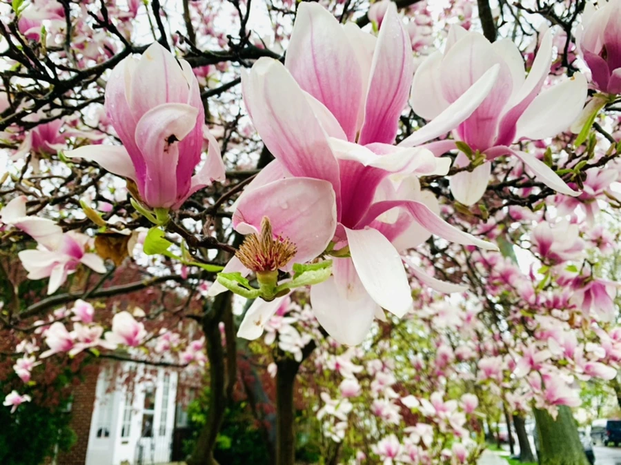 IMG_2353.jpg?type=w966