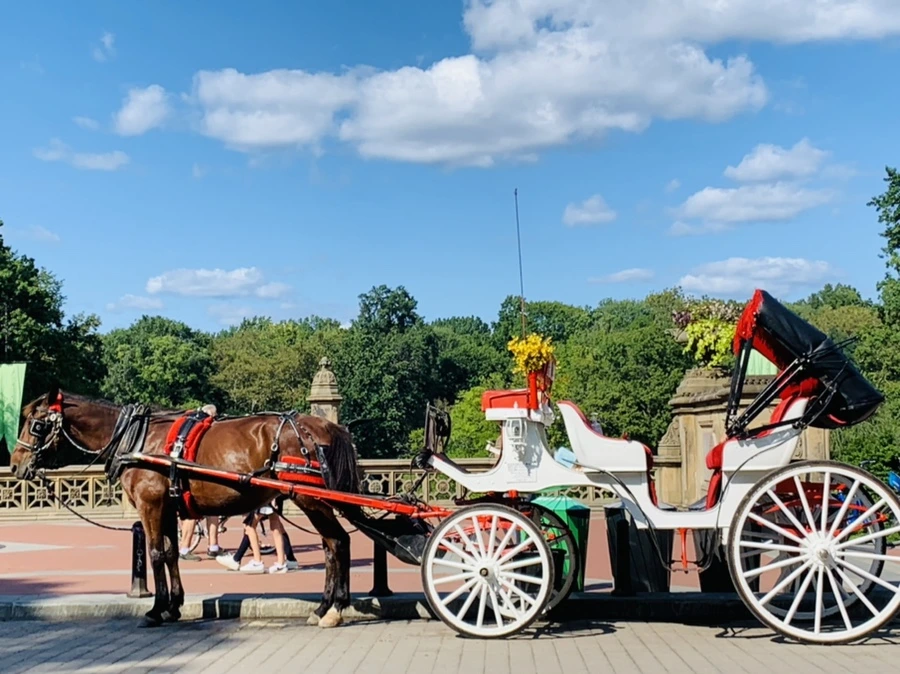 IMG_9716.jpg?type=w966