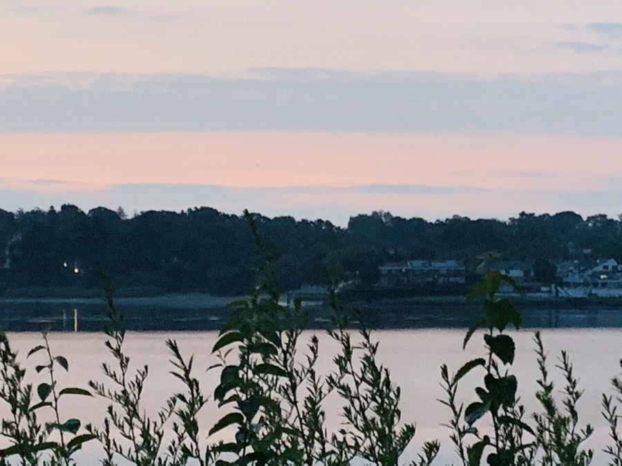 IMG_9473.jpg?type=w966