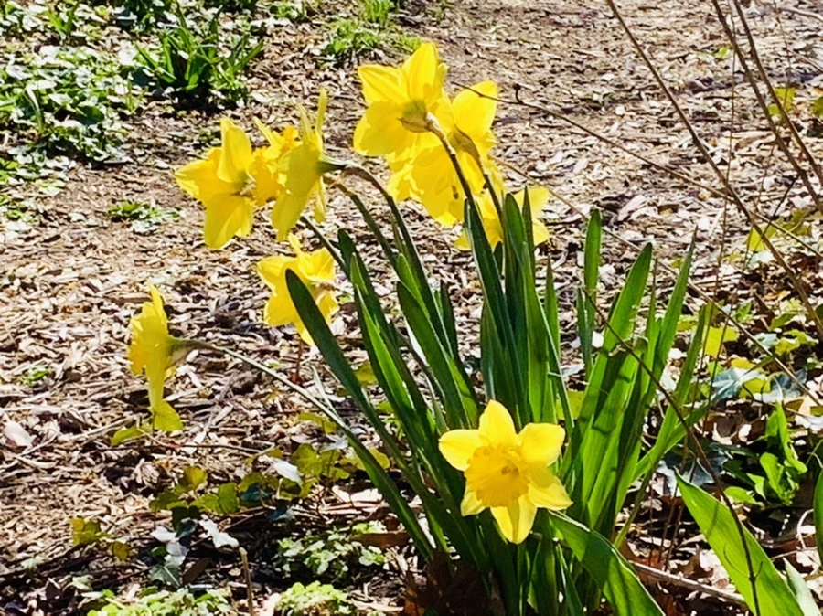 IMG_5804.jpg?type=w966