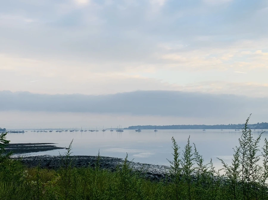 IMG_8211.jpg?type=w966