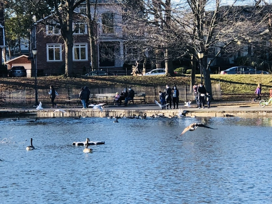 IMG_9249.jpg?type=w966