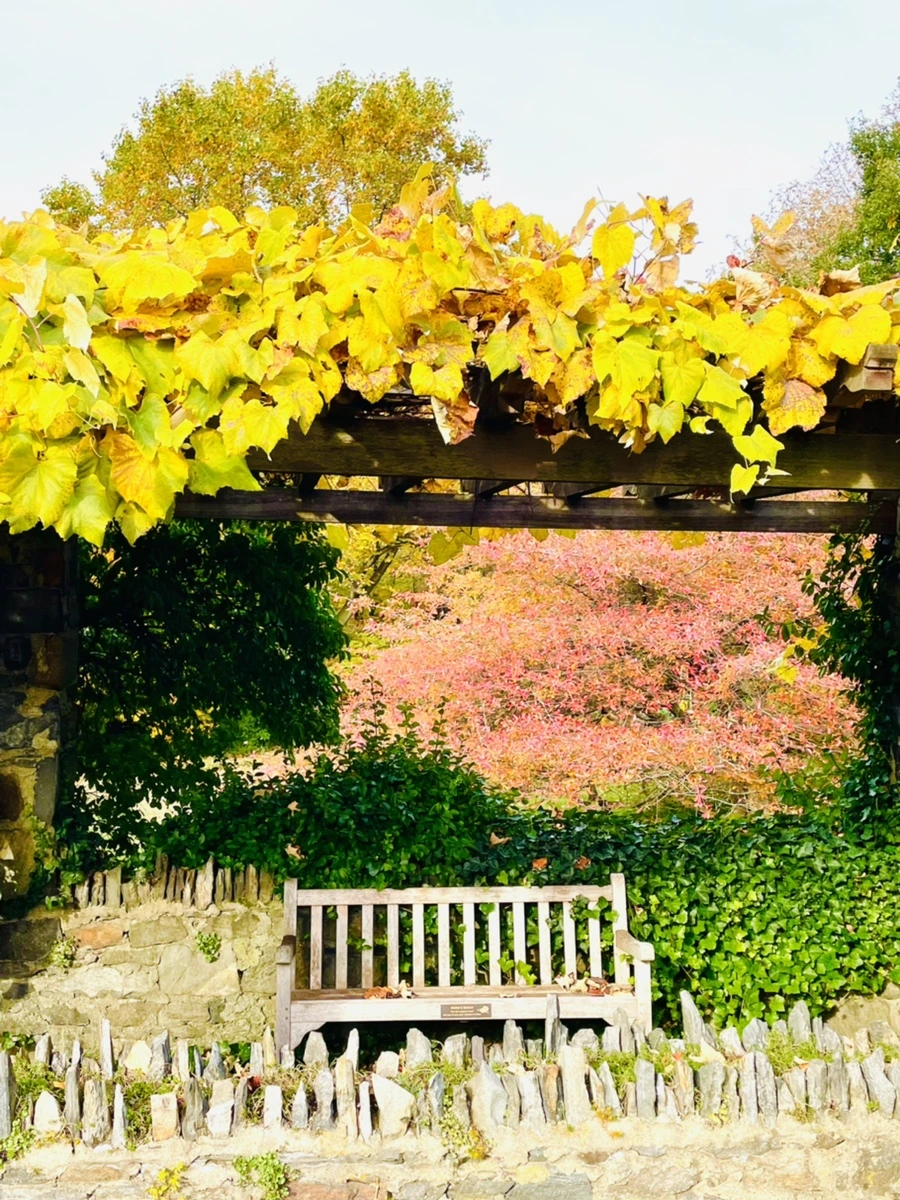 IMG_2382.jpg?type=w966