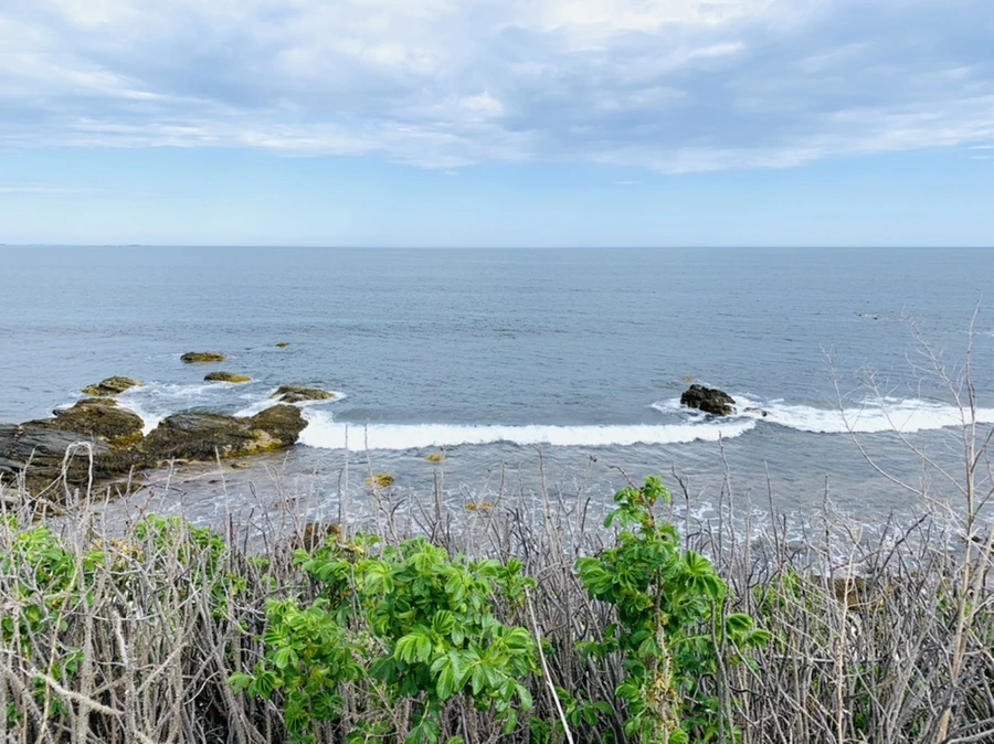 IMG_2806.jpg?type=w966