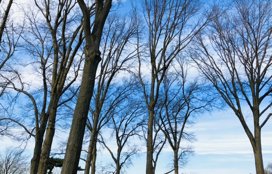 IMG_4818.jpg?type=w966